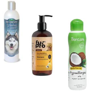 Upto 25% Off on Dogs Grooming at Zigly